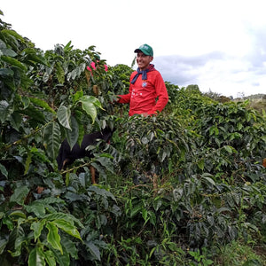 Colombia Johan Vergara